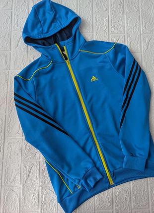 Мужская олимпийка adidas