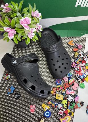 Оригинальные шлепанцы крокс crocs + джибитсы