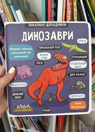 Книга з віконцями