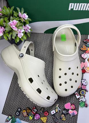 Оригинальные шлепанцы крокс crocs сабо