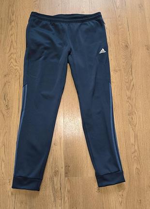 Adidas climawarm