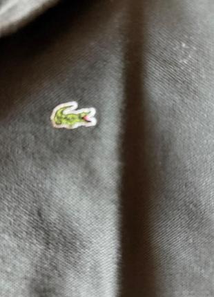 Кофта lacoste 3