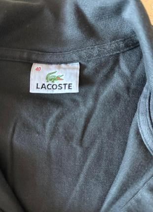 Кофта lacoste 2