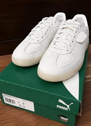 Puma palermo