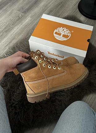 Черевики timberland