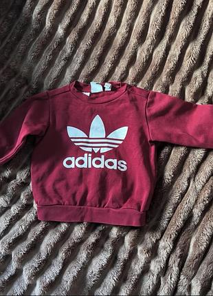Світшот від adidas на 18-24 місяців