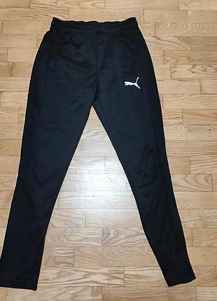 [s] мужские спортивные штаны puma