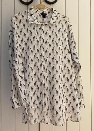 Літня сорочка h&m (м/38)