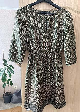Сукні zara