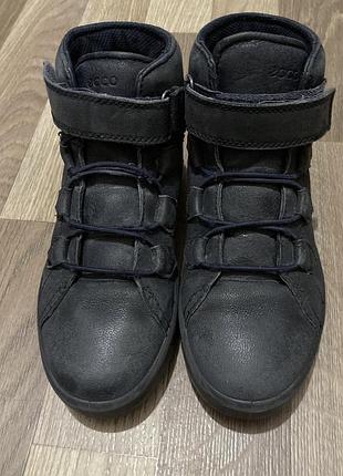 Черевики ecco
