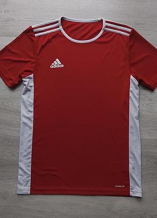 Чоловіча спортивна футболка adidas