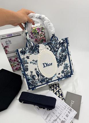 Dior book tote blue toile embroidery