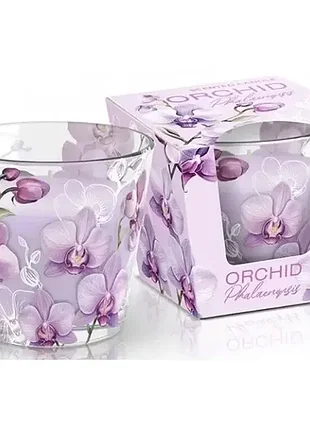 Свічка з ароматом "bartek candles" 115г/30год. orchid phalaenopsis