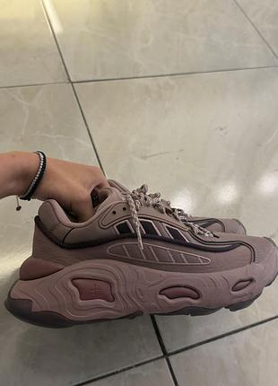 Adidas жіночі кросівки нові оригінал