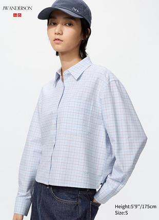 Укорочена сорочка оксфордського крою  uniqlo and jw anderson