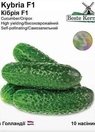 Огурец кибрия f1 (10 семечек)/(5 пачек в упаковке) тм beste kern