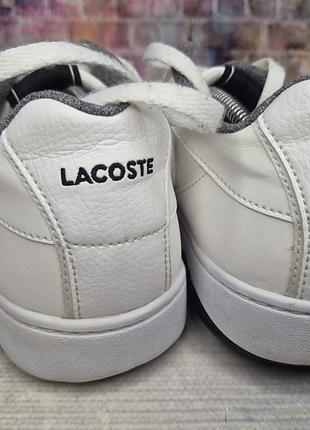 Кеды lacoste 6