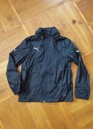 Дитяча вітровка на мембрані puma