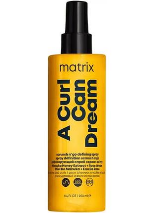 Спрей для вьющихся волос matrix a curl can dream spray, 250 мл
