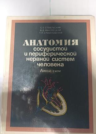 Атлас схем: анатомия сосудистой и периферической нервной систем человека (стебельский)