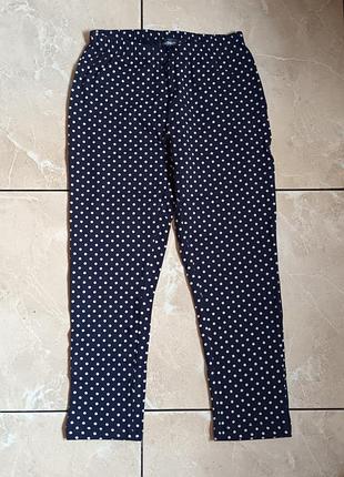 Підліткові легінси лосіни xs in extenso принт polka dot стрейч коттон