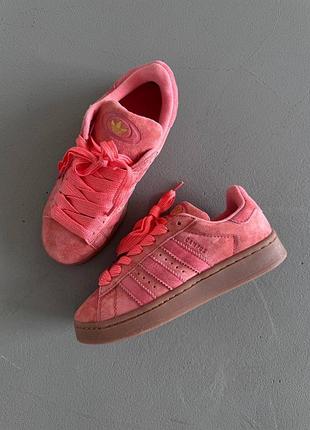 Жіночі кросівки adidas campus