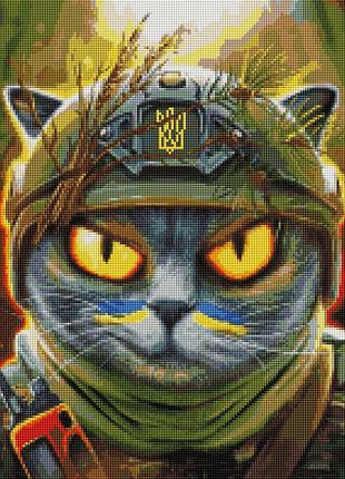 Алмазна мозаїка - котик розвідник ©маріанна пащук