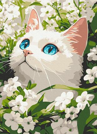Картина по номерам - весенний кот