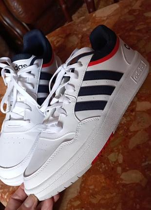 Кросівки чоловічі adidas