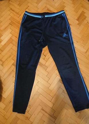 Оригинальные спортивные штаны adidas climacool xxl