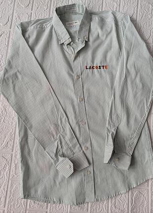 Сорочка чоловіча lacoste, розмір xl