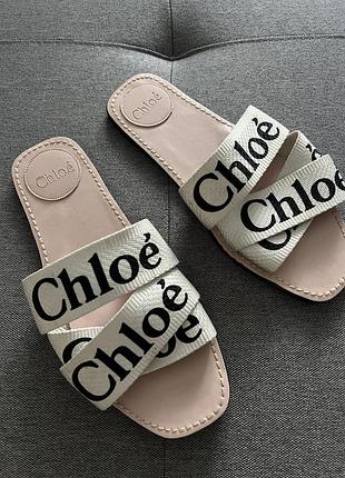 Стильні шльопки chloe 🥥