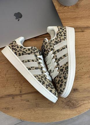 Стильные женские кроссовки adidas campus leopard