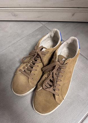 Кеди scotch and soda