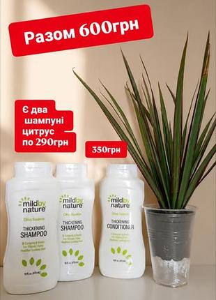 Супер цена на хит продажа айхерб шампунь цитрус iherb mild by nature