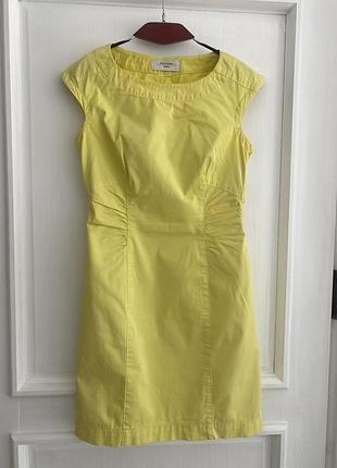 Сукня max mara розмір s, 100% котон.