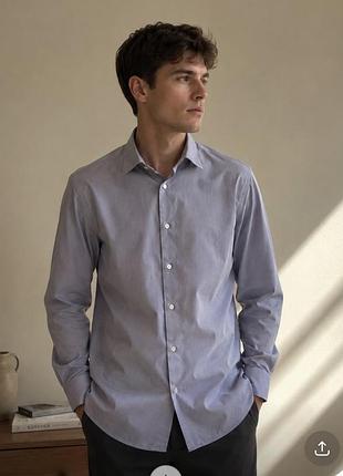 Massimo dutti чоловіча сорочка, сорочка в смужку