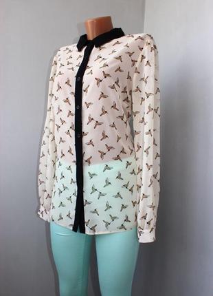 Блуза рубашка в принт мелких коричневых колибри, турция, 14 (3344)2 фото