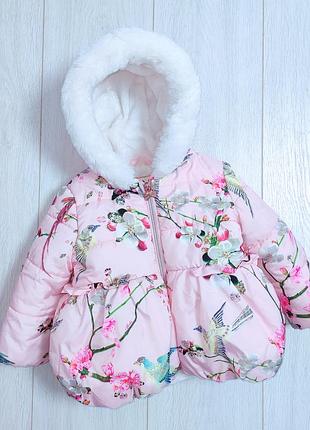 Красивая куртка ted baker 12-18 месяцев