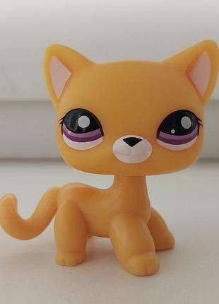 Lps littlest pet shop лпс літлс пет шоп петшоп кішка кіт стоячка litless pet shop pet shops petshops фігурки іграшки фігурка іграшка стоячки пет шопи