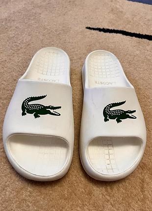 Шлепанцы lacoste 2