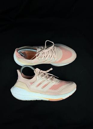 Adidas ultraboost 21 s23838 halo blush continental кросівки бігові жіночі