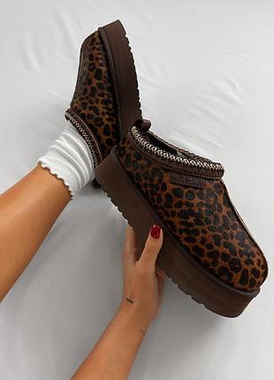 Tasman platform leopard