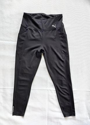 Лосіни puma