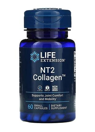 Nt2 collagen™ 40 mg - 60 small caps