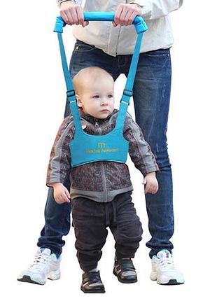 Дитячі ходунки walking assistant, віжки, повідець