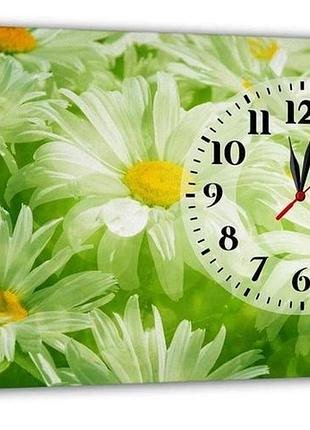 Картина на холсті mako chamomile flowers green з годинником 30×53 см безшумний плавний хід кварцовий механізм 3053-059