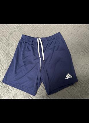 Чоловічі шорти adidas