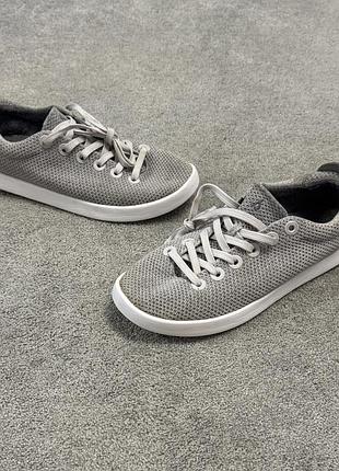 Кеди чоловічі allbirds tree piper