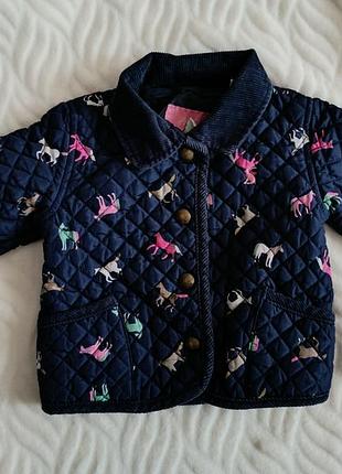 Стьобана  дитяча демісезонна куртка joules mabel jacket з кониками на 3-6 місяців для дівчинки